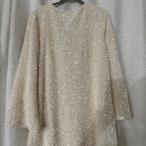 H&M Holiday Sequined Dress